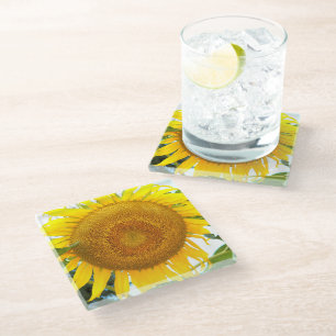 Large Yellow Sunflower Bloom Floral Glass Coaster