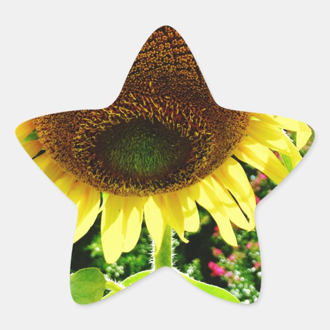 Large yellow Sunflower Star Sticker (Front)