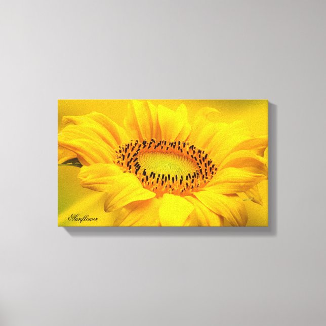 Large Yellow Sunflower Stretched Canvas Print (Front)