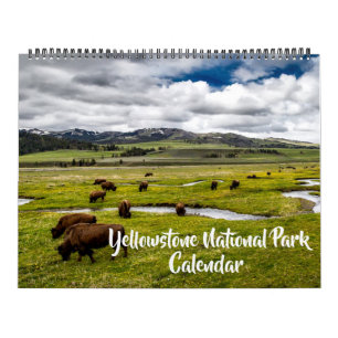 Large Yellowstone Park Calendar