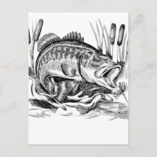 Largemouth bass postcard