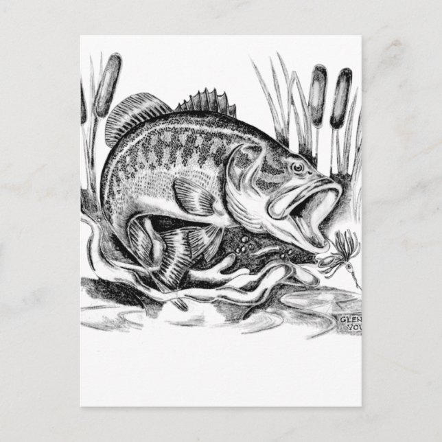 Largemouth bass postcard (Front)
