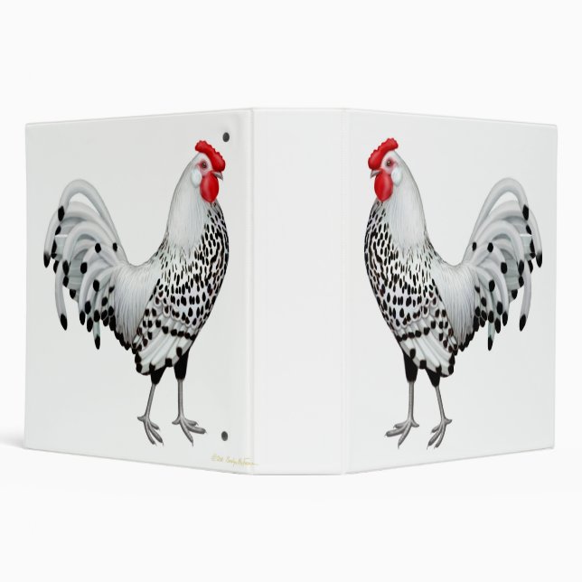 L'argent a orné le classeur de paillettes de coq (Arrière-plan)