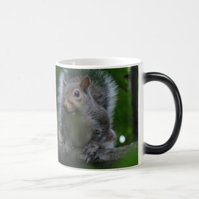 larger squirrel magic mug (Right)