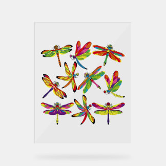 largest dragonfly acrylic sign
