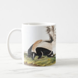 LargeTailed Skunk Mephitis macroura Illustration Coffee Mug