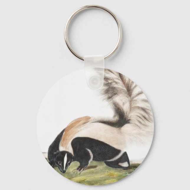 LargeTailed Skunk Mephitis macroura Illustration Keychain (Front)