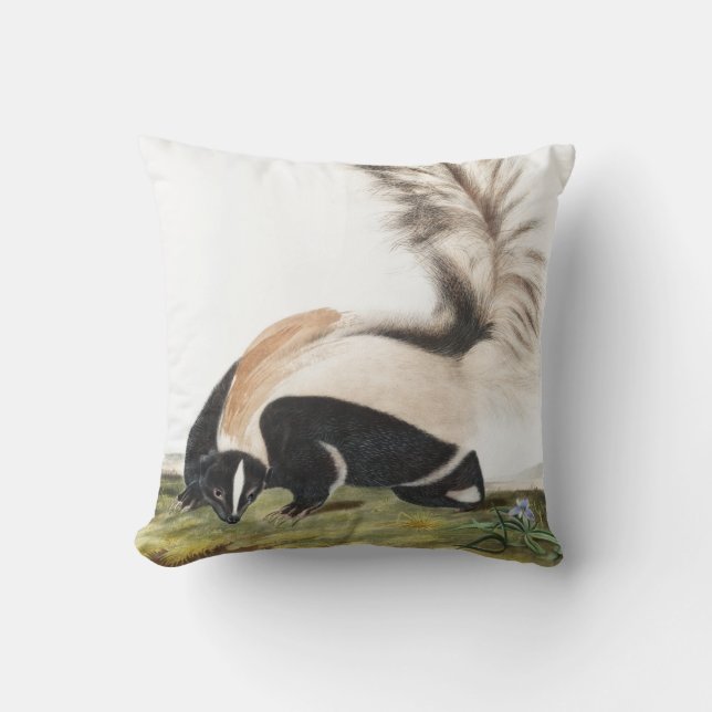 LargeTailed Skunk Mephitis macroura Illustration Throw Pillow (Front)