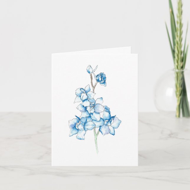 Larkspur bleu (Devant)
