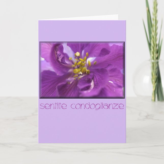 larkspur carte de sympathie italien (Devant)