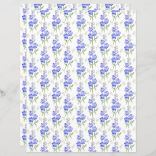 Larkspur Scrapbook Paper