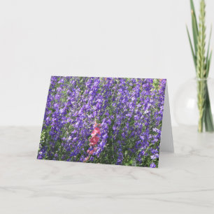 Larkspurs Card