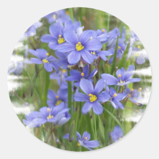 Larkspurs Classic Round Sticker