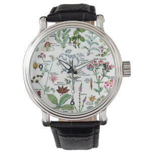 Larousse Digestive Plants Nature Garden Art  Watch