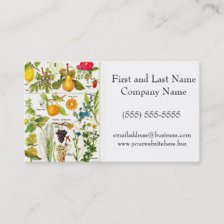 Larousse Fruit Orange Pear Grape Garden Nature Art Business Card