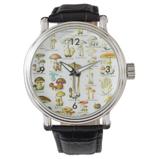 Larousse Mushroom Fungus Nature Art Painting Watch