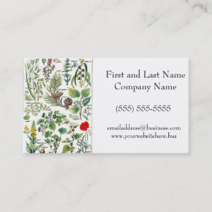 Larousse Pine Cone Tree Flower Branch Painting Business Card