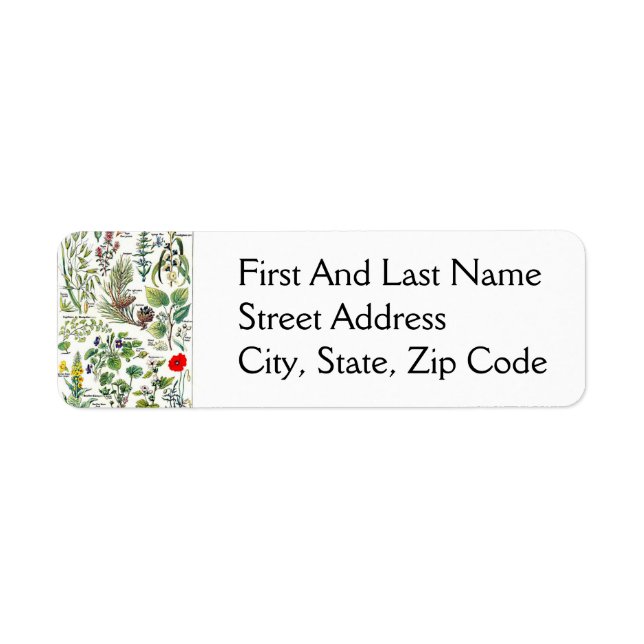 Larousse Pine Cone Tree Forest Nature Art (Front)