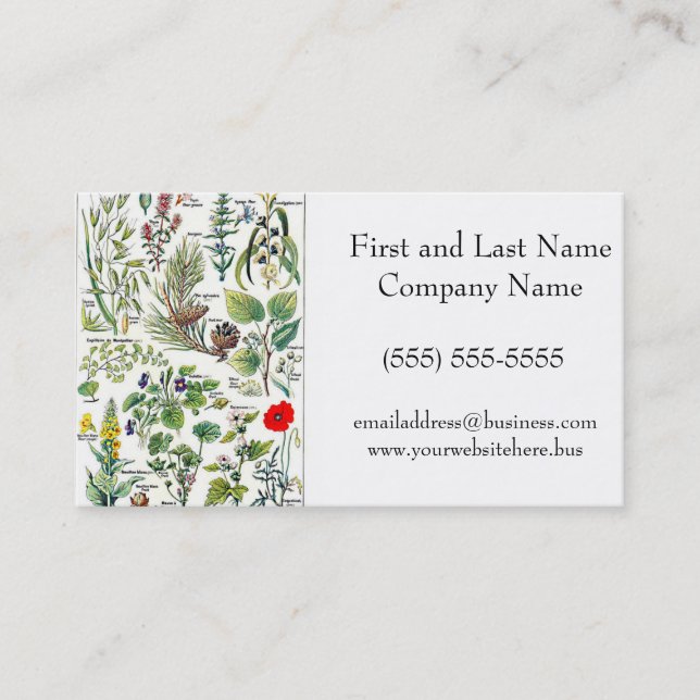 Larousse Pine Cone Tree Forest Nature Art Business Card (Front)
