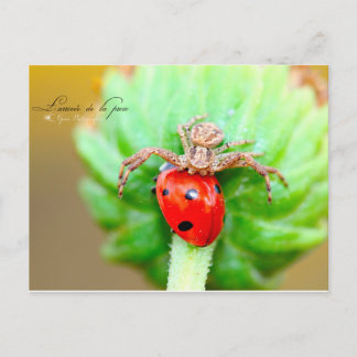 L'arrivée de la proie postcard