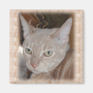 Larry Grandkitty Magnet
