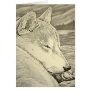 L'art de chien de Shiba Inu carde les cartes
