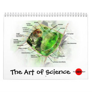 L'art du calendrier de la Science