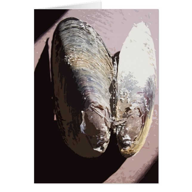 L'art papillon en coquille (Devant)