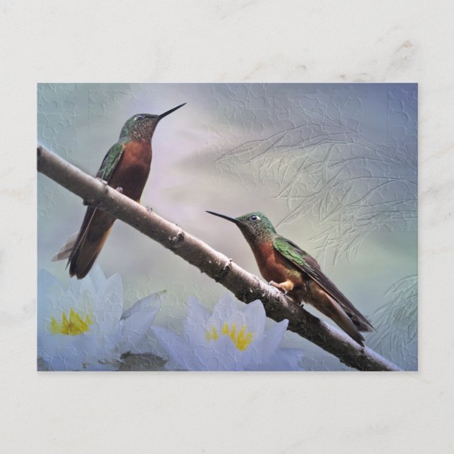 Las Gemas Postcard (Front)