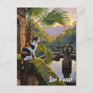 Las Pozas Mexico Travel Postcard