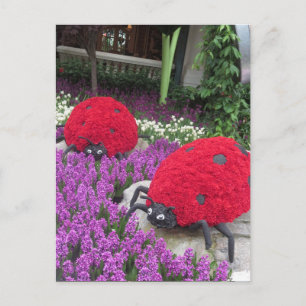 Las Vegas Butterfly Garden Flower Ladybug UNIQUE G Postcard