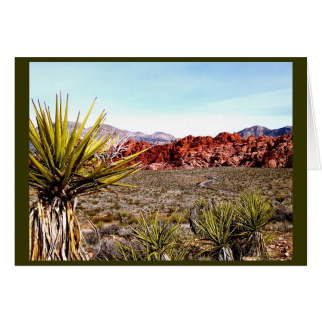 Las Vegas Tours : Red Rock Canyon (Devant Horizontal)
