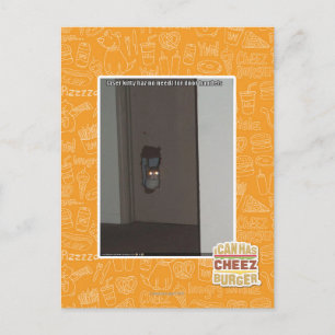 Laser Kitty Postcard