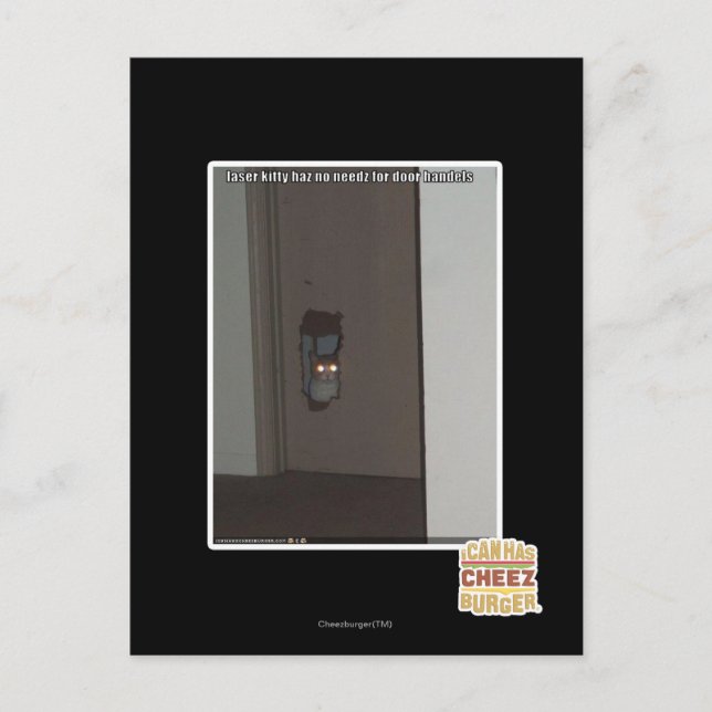 Laser Kitty Postcard (Front)