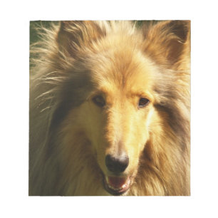 Lassie Collie  Notepad
