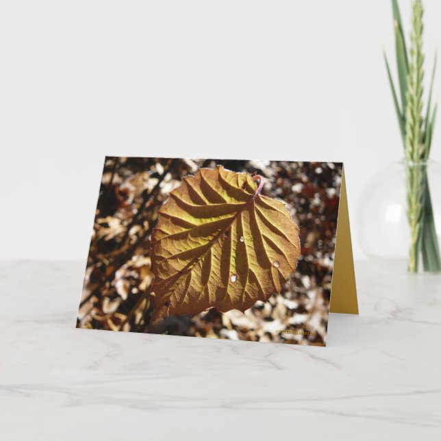 Last Leaf Card (Front)