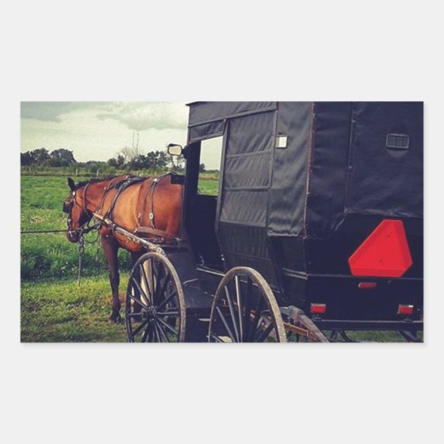 Last Night in an Amish community, Amish Horse Sticker (Front)