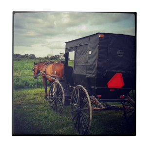 Last Night in an Amish community, Amish Horse Tile