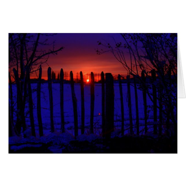 LAST OF THE WINTER SUN (Front Horizontal)