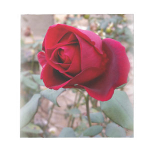 last red rose notepad