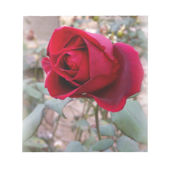 last red rose notepad (Front)