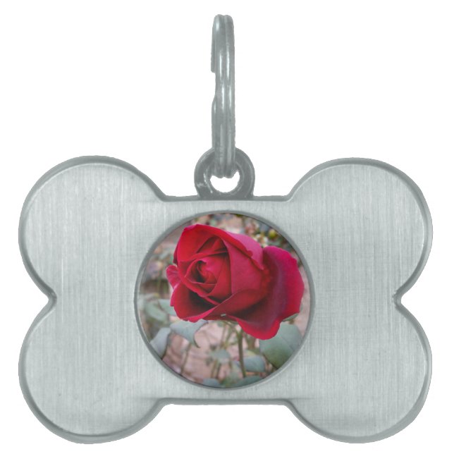 last red rose pet ID tag (Front)