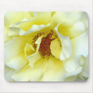 Last Rose of Summer Mouse Pad