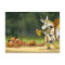 Last Unicorn Postcard