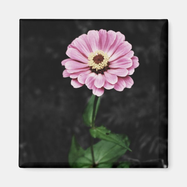 Lasting Impression Magnet (Front)