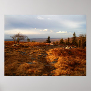 Late Afternoon on the Sods Poster