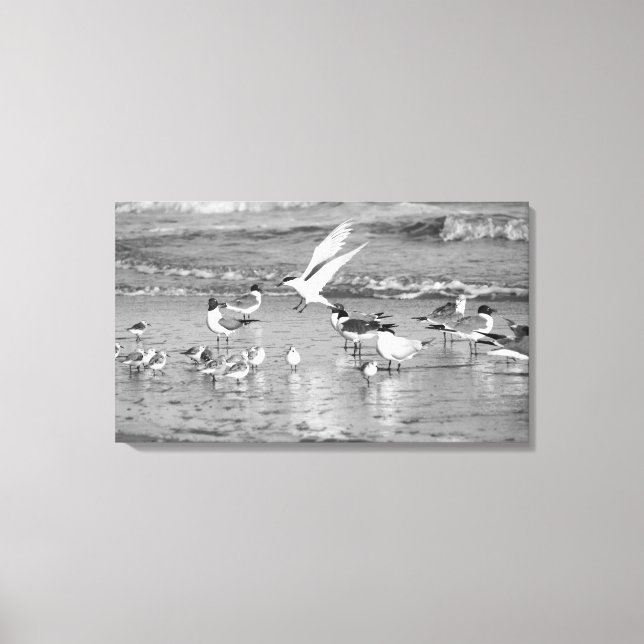 Late Arrival Canvas Print (Front)