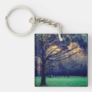 Late Autumn at Oxbow Regional Park Keychain