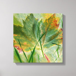 Late autumn canvas print