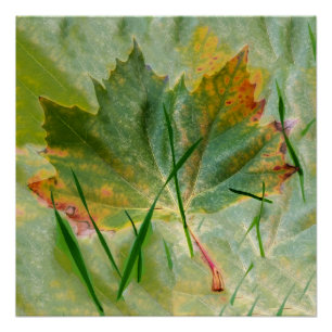 Late autumn poster